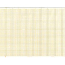 BNT B-ECG-10 chart paper, 215.0mm x 80', 10 rolls/box